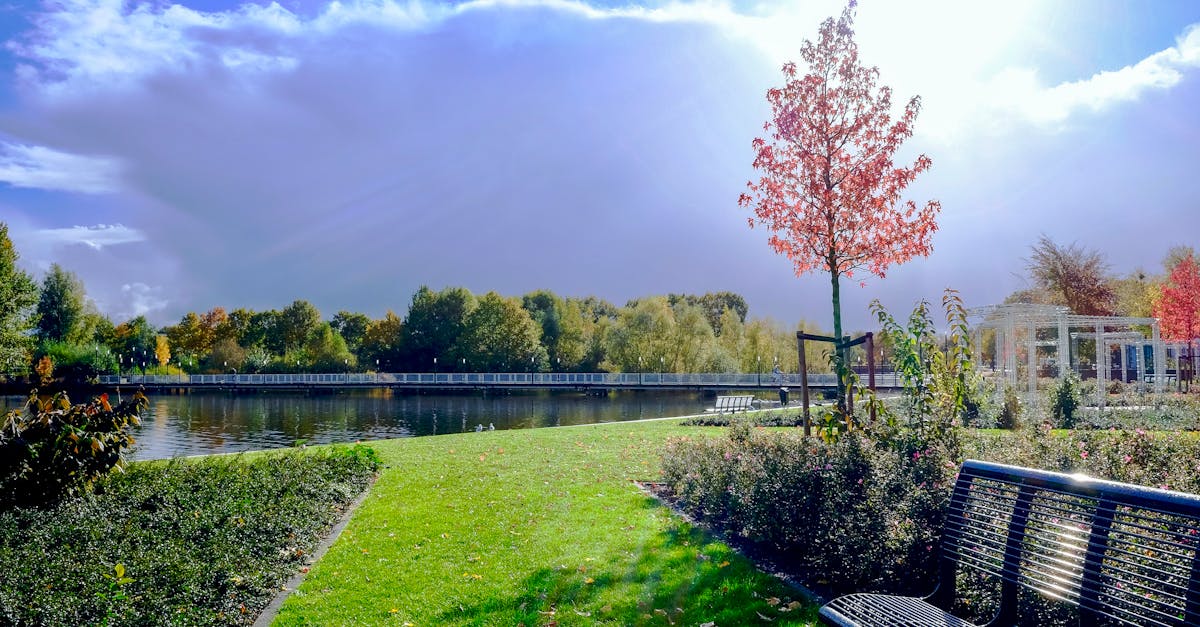 Creating Harmony with Asymmetrical Design in Garden Landscapes