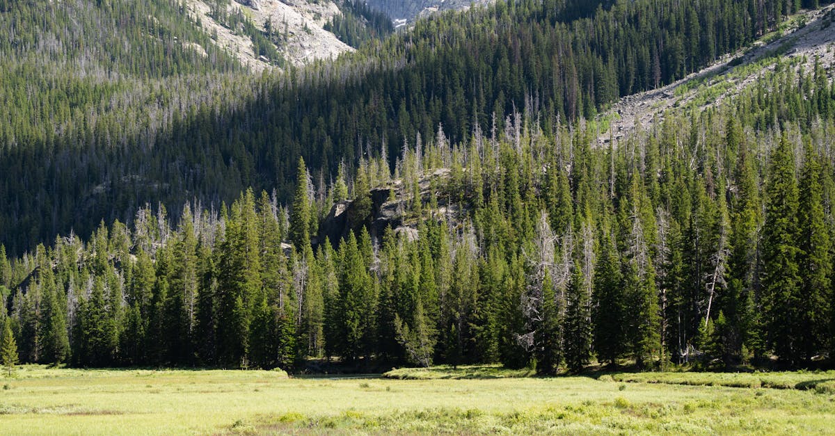 Designing Transitions to Connect Garden Spaces