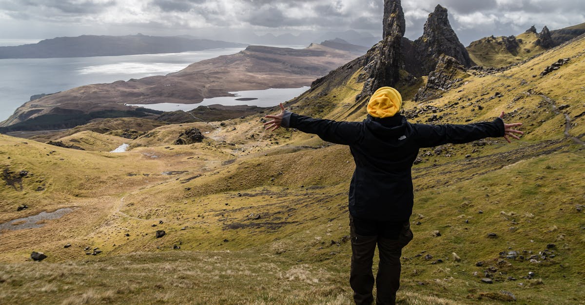 Enhancing Focalization with Plant Selection