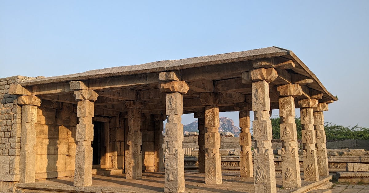 Exploring the Impact of Radial Balance on Garden Visuals