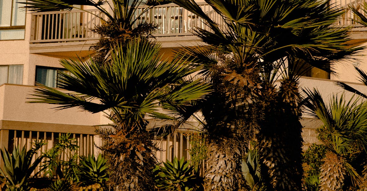 Focalization Techniques for Small Garden Spaces