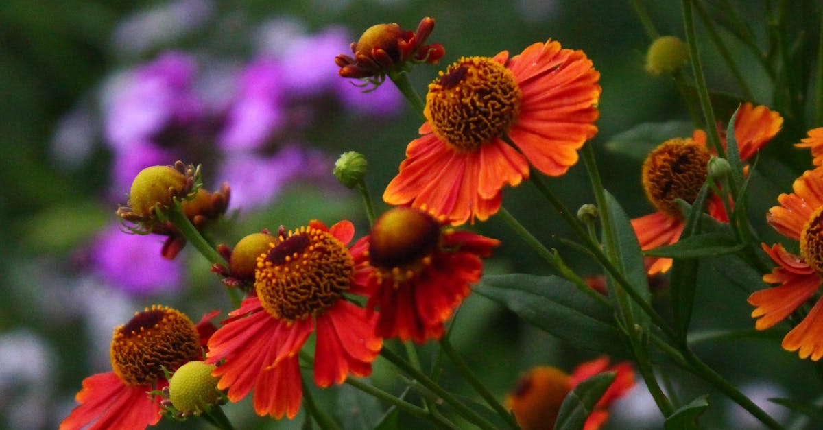 Implementing Symmetry for Visual Harmony in Landscaping