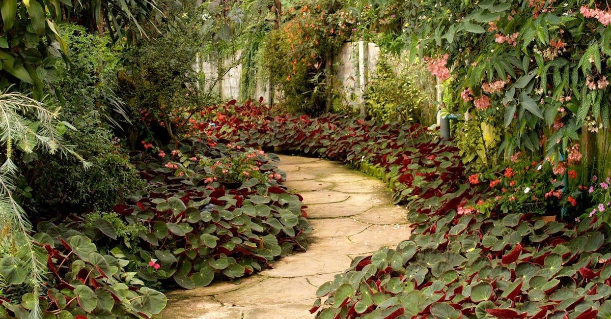 Importance of Proportion and Scale in Landscape Gardening