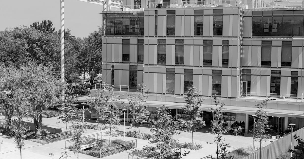 Plant Selection for Informal Balance in Landscape Gardening