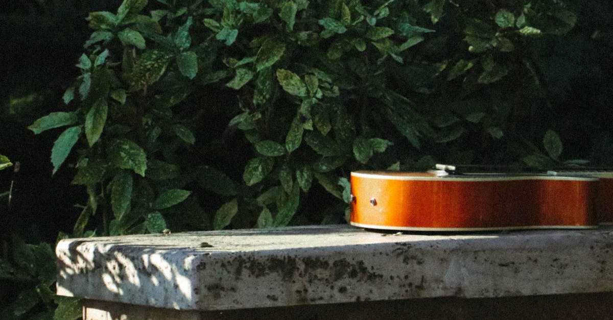 Playing with Texture to Achieve Visual Harmony in Landscapes