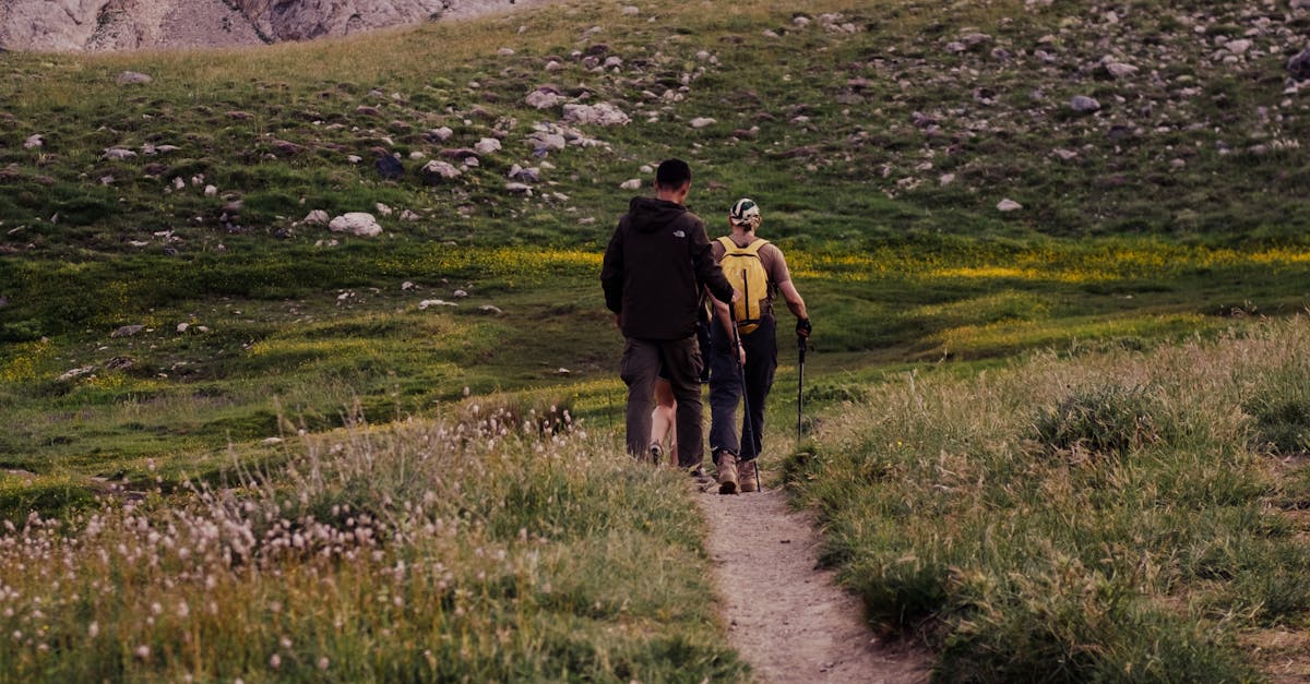 Principles of Symmetrical Design in Landscape Gardening