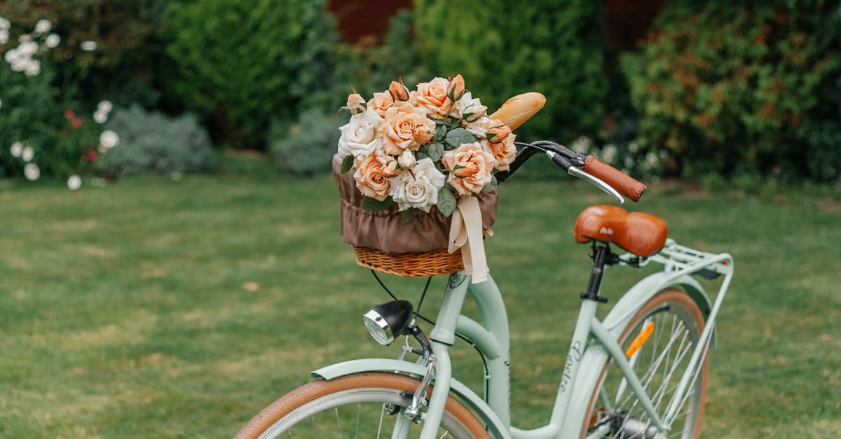 Proportion and Scale: Creating Visual Impact in Garden Planning