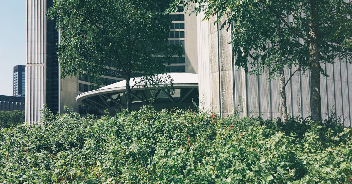 Proportion and Scale: Enhancing Spatial Relationships in Garden Layout