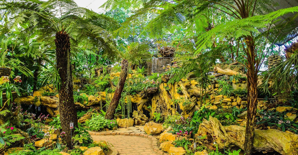 Radial Balance: A Fundamental Aspect of Landscape Design