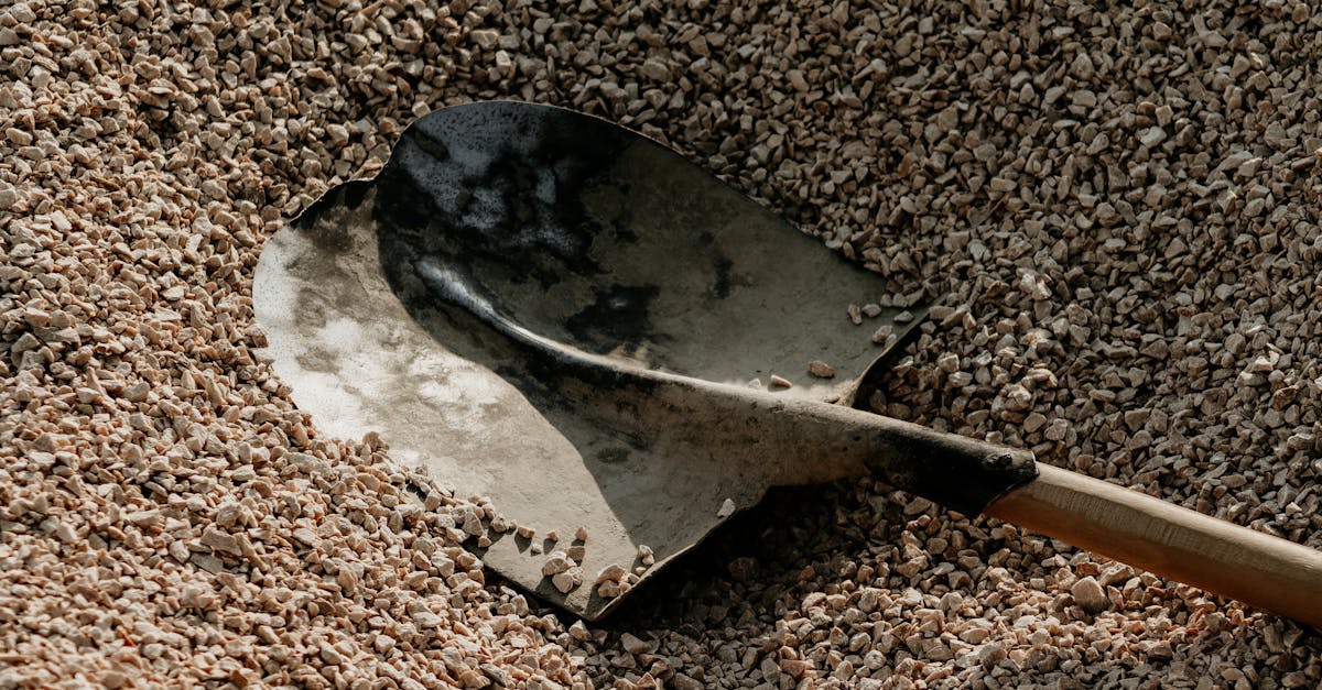 Symmetrical Hardscape Elements in Garden Layouts