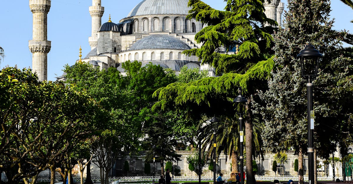 The Art of Blending in Landscape Gardening