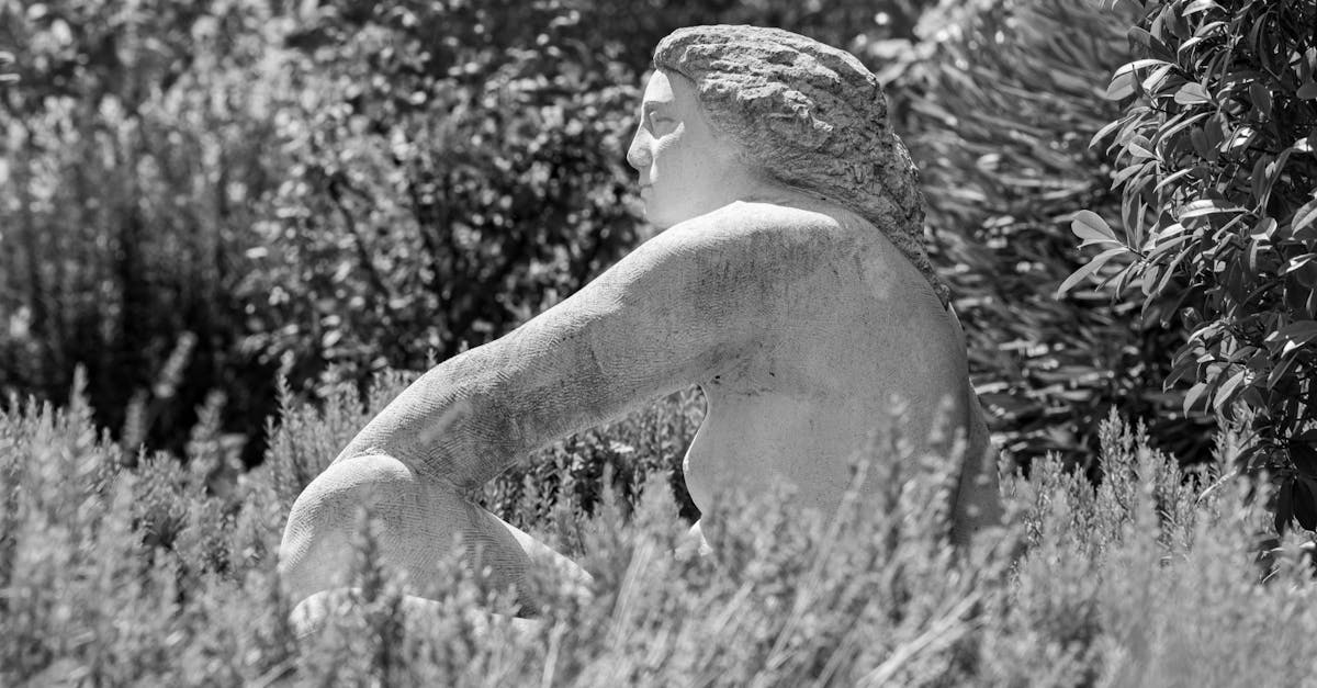 The Impact of Colour Temperature in Landscape Gardening