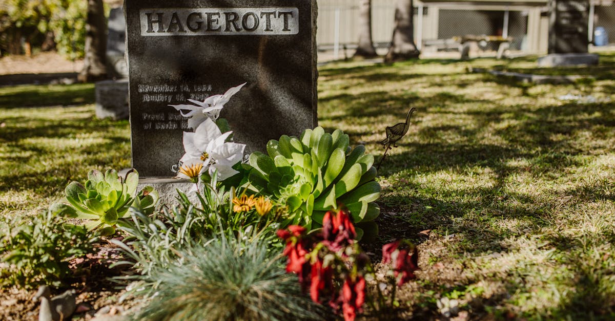 Traditional Techniques for Formal Balance in Landscape Gardening