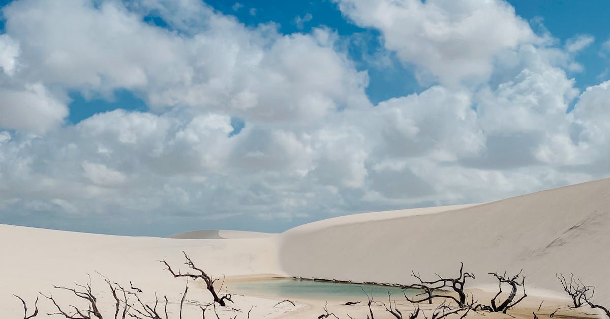 Understanding Radial Balance in Landscape Gardening