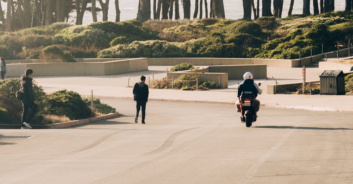 Using Rhythmic Elements to Create Flow in Landscaping